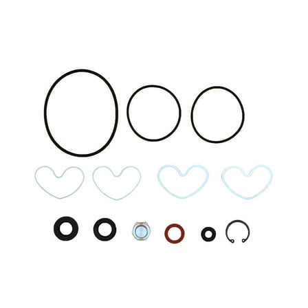 1810839M91 Power Steering Pump Seal Kit Fits Massey Ferguson