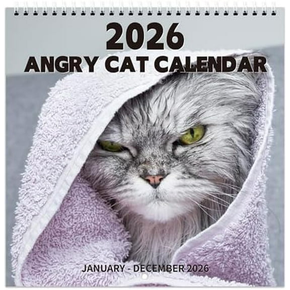 Pi-d-off Cats Calendar 2026, Jan. 2026 - Dec. 2026, 9.64" x 19.3" 2026 wall Calendar (open), Funny Calendar, Calendars with Unruled Blocks, Everyday Holidays - Funny Cats$$Office