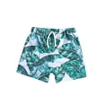 thumbnail image 2 of DJDLJWCJ Boys Summer Shorts Elastic Waist Quick Dry Loose Fit Casual Shorts for Outdoor Sports Stretch Athletic Shorts, Multicolor 2 T, 2 of 9