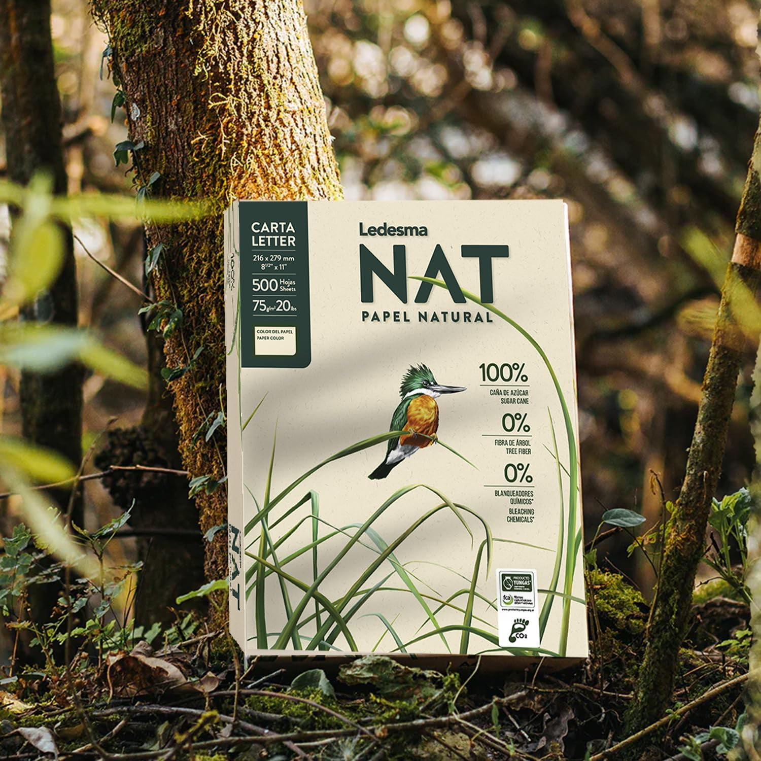 Ledesma NAT, Letter Size (8.5"x11") Natural Sugarcane Pulp Printer Paper, For All Office And Photocopy Printers, Designs, Crafts (5 Reams (2500 Sheets))