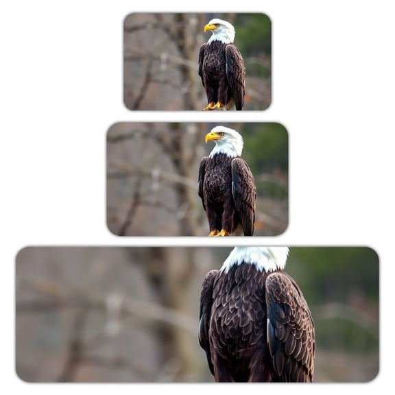 RKSupls Kitchen Rug Set 3 Piece Anti-Slip Flannel Floor Mats, Bald Eagle Stump Washable Absorbent Runner Mats for Kitchen Bathroom Home Decor