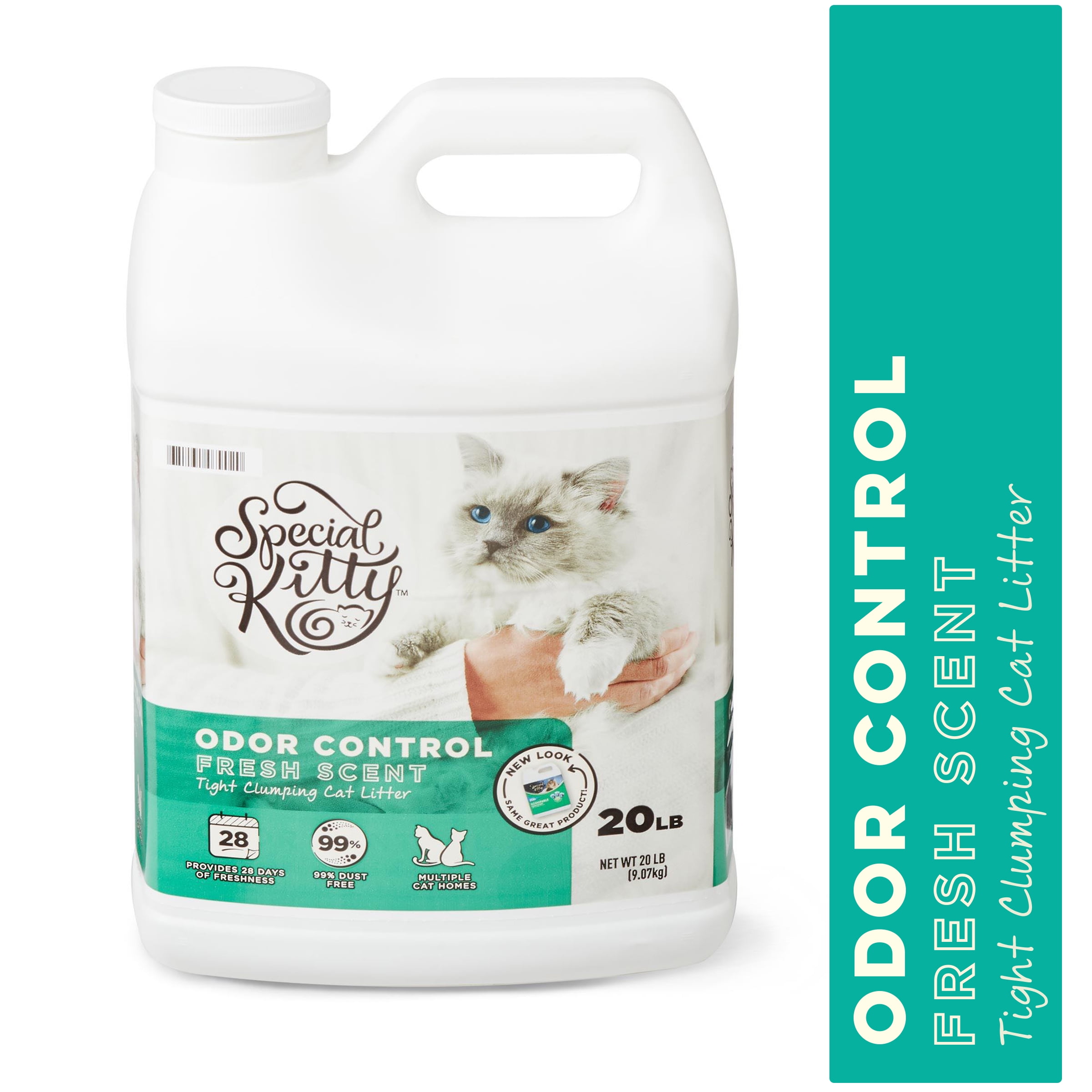 special kitty cat litter