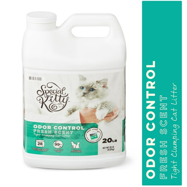 Best Inexpensive Kitty Litters Adventures of Freya and Siggy