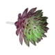 thumbnail image 3 of Uxcell Mini Suculentas Artificiales Sin Maceta, Picos de Suculentas Falsas, Plantas Suculentas Falsas en Color Verde Oscuro y Púrpura, Paquete de 4, 3 of 5
