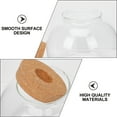 thumbnail image 3 of 1 Set of Glass Terrarium Container DIY Ecological Plant Bottle Glass Plant Terrarium, 3 of 8