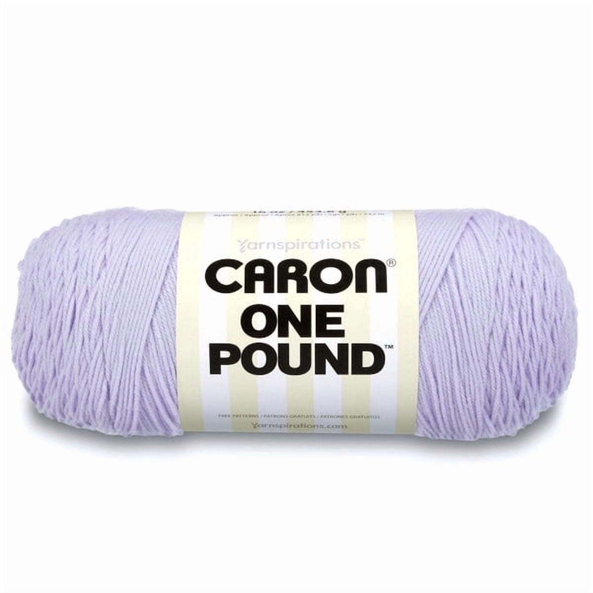CARON Caron® One Pound™ #4 Medium Acrylic Yarn, Succulent 16oz/454g, 812