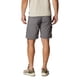 thumbnail image 2 of Pantalones cortos de carga Columbia Silver Ridge Utility para hombre - Delta, 2 of 8