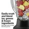 thumbnail image 3 of Hamilton Beach Quiet Smoothie Blender for Kitchen, 40 oz Jar for Smoothies and Shakes, Black, 3 of 8