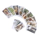 thumbnail image 4 of Cartas de Tarot de madera salvaje, juego de mesa de cartas de adivinación, interacción en inglés, 4 of 9