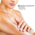 thumbnail image 3 of Karma Organic essential therapeutic grade quality Essential Oil (15ml) (Eucalyptus), 3 of 9