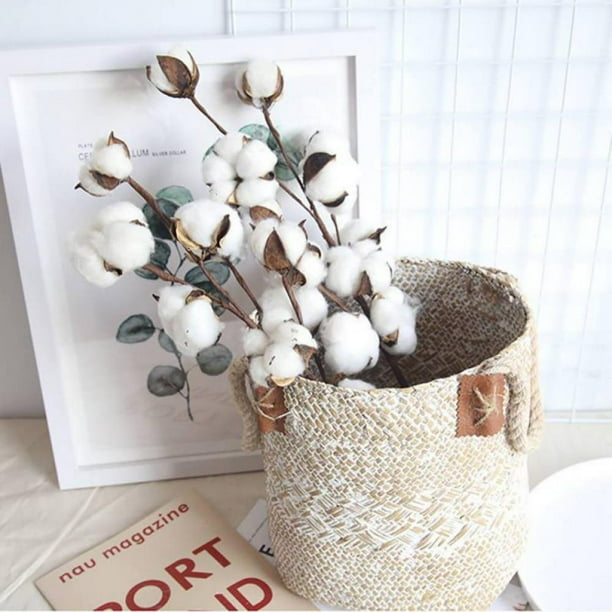 10pcs Cotton Stems, Fake Cotton Flowers Dried Cotton Picks Stalks