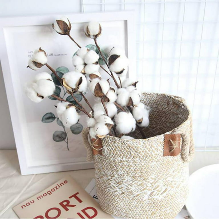 Natural White Cotton Boll Stems Flowers Branches Vase Display Floral  Decorations
