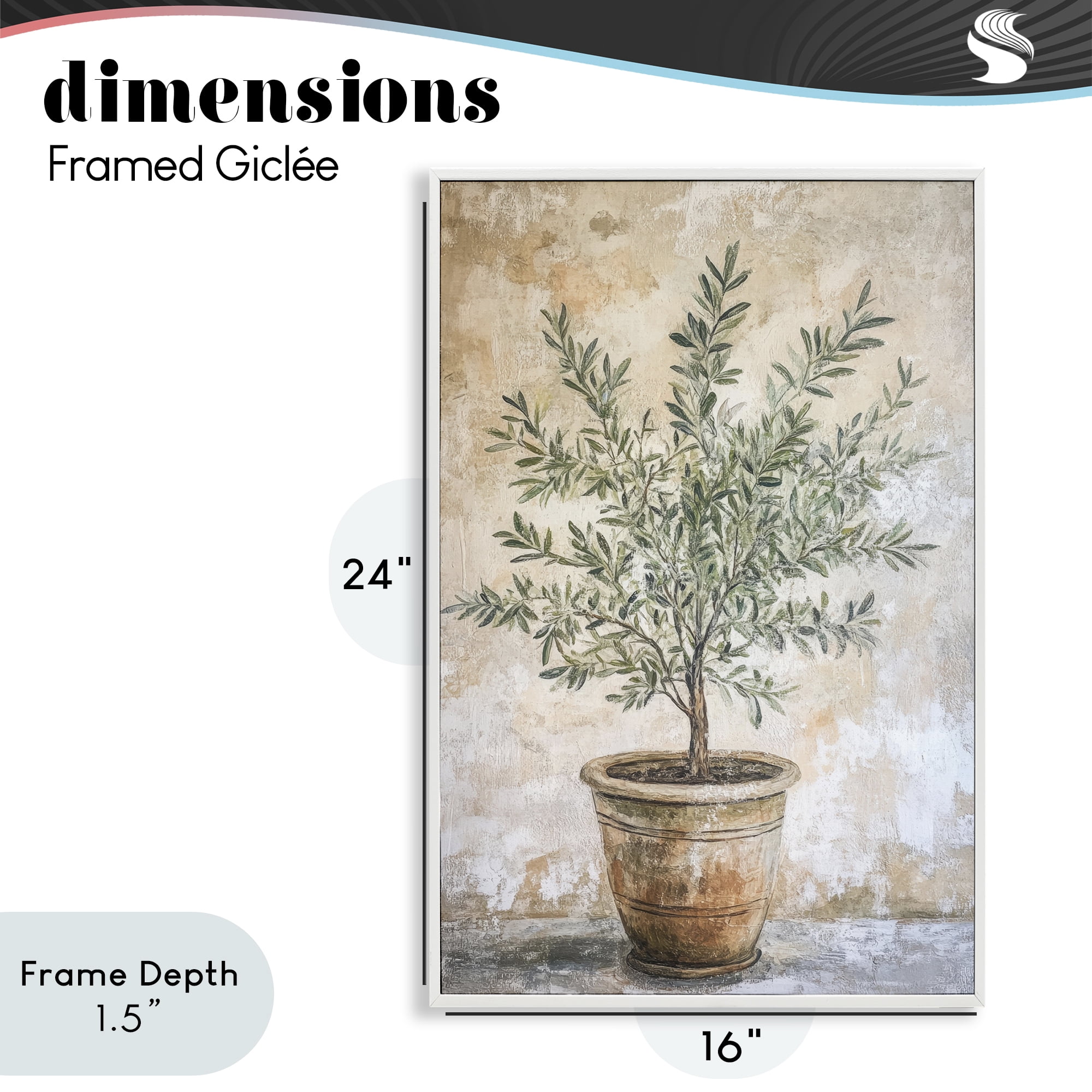 Stupell Industries Mediterranean Potted Olive White Framed Giclee Art, design by Petal Prints Design