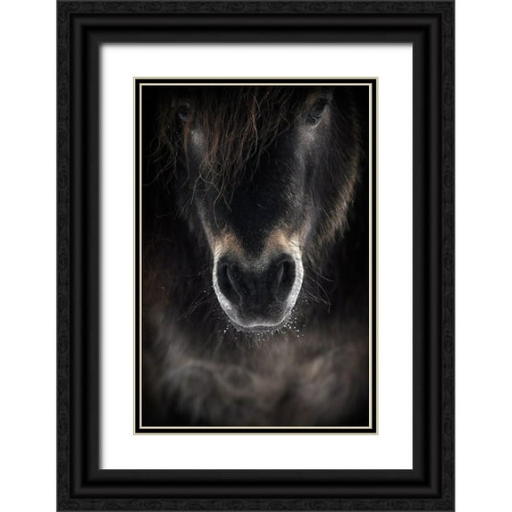 R I, P 13x18 Black Ornate Wood Framed with Double Matting Museum Art Print Titled - Ulysses