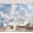 Color 4, variant on Wall Mural Peel and Stick Beautiful Sky Fluffy Birds Self-Adhesive Wallpaper Removable Wall Decal Wall Sticker Home Decor for Living Room Bedroom 100"x144"