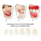 thumbnail image 1 of 1 caja de carillas dentales temporales de porcelana para dientes molares delanteros y traseros, 1 of 7
