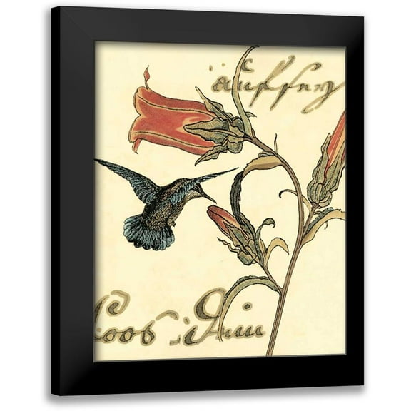 Vision Studio 12x14 Black Modern Framed Museum Art Print Titled - Small Hummingbird Reverie III