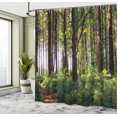 thumbnail image 5 of Ambesonne Forest Shower Curtain, Bushes and Thick Trunks, 69"Wx75"L, Green Brown, 5 of 5