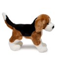 thumbnail image 4 of Bernie Beagle, 4 of 5