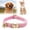 C, variant on MKHSQHDG Today's Deals Colored Velvet Cat Collar Optional Tie Customized Engraved Collar for Small and Large Cats (Light Gold Buckle)
