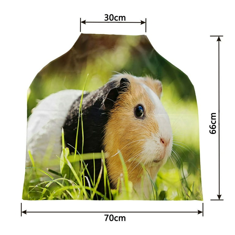Guinea pig 2025 car seat