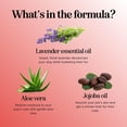 thumbnail image 2 of Soothing Oatmeal Shampoo for Dogs - Cleansing and Moisturizing Aloe & Oatmeal Dog Shampoo for Smelly Dogs of all Ages & Breeds - Gentle Sulfate and Paraben Free Dog Wash Made in USA (Sweet Fruity), 2 of 7