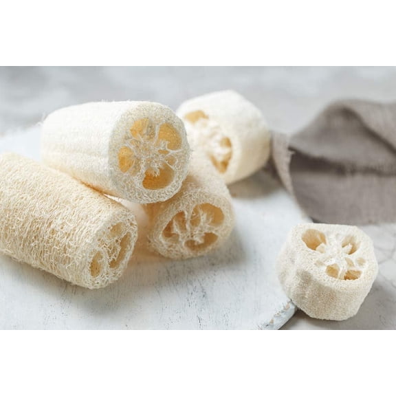 Luffa Gourd Seeds - 20 Seeds - Luffa Spounge Gourd, Exotic Vegetable, Easy to Grow