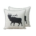 thumbnail image 3 of Cottage Icons throw pillow - set of 2, 3 of 4