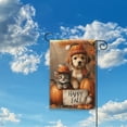 thumbnail image 3 of Welcome Fall Cat and Dog 18x12 Inch Durable Polyester Seasonal Garden Flag, Floral Welcome Banner, Double-Sided Outdoor Decor, 3 of 10