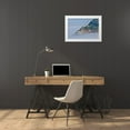 thumbnail image 3 of Looney, Hollice 32x23 White Modern Wood Framed Museum Art Print Titled - Usa-Oregon-Florence Heceta Head Lighthouse, 3 of 4