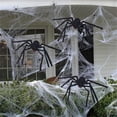 thumbnail image 6 of Halloween Spider Decorations, Realistic Hairy Spiders, Scary Spider Props for Indoor, Outdoor and Yard Creepy Decor, 6 of 10