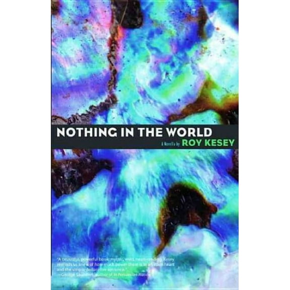 Nothing in the World (Paperback)