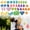 36 Pcs-pastel Color, variant on 36 Pcs-multicolor Rock Climbing Wall Holds Kit for Indoor Outdoor Home Playground