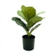 thumbnail image 1 of Planta Artificial Decorativa Casa y Concepto CC152, 1 of 3