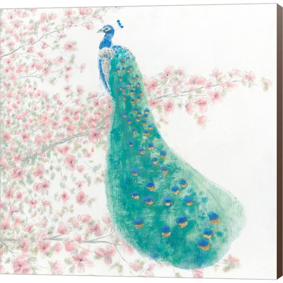 Spring Peacock II Bird by James Wiens, Canvas Wall Art