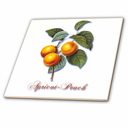 Botanical Tile - 3dRose Apricot-Peach, Botanical Print of Bright Yellow Fruits on a Branch - Ceramic Tile, 4-inch