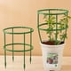 thumbnail image 5 of Poste de soporte semicircular para plantas | Soporte para trepar flores, hortalizas y enredaderas | Núcleo de acero resistente a la oxidación | Paquete de 3, 5 of 6