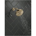 thumbnail image 7 of Delta 52668 Universal Showering Components 1.75 GPM Multi Function Shower Head - Lumicoat, 7 of 7