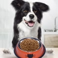thumbnail image 3 of Bol pour Chat Bol pour Chien Bol en Acier Inoxydable Bol Coloré en Acier Inoxydable Bol pour Chien Bol pour Chat Bol Amusant Bol pour Animal de Compagnie, 3 of 5