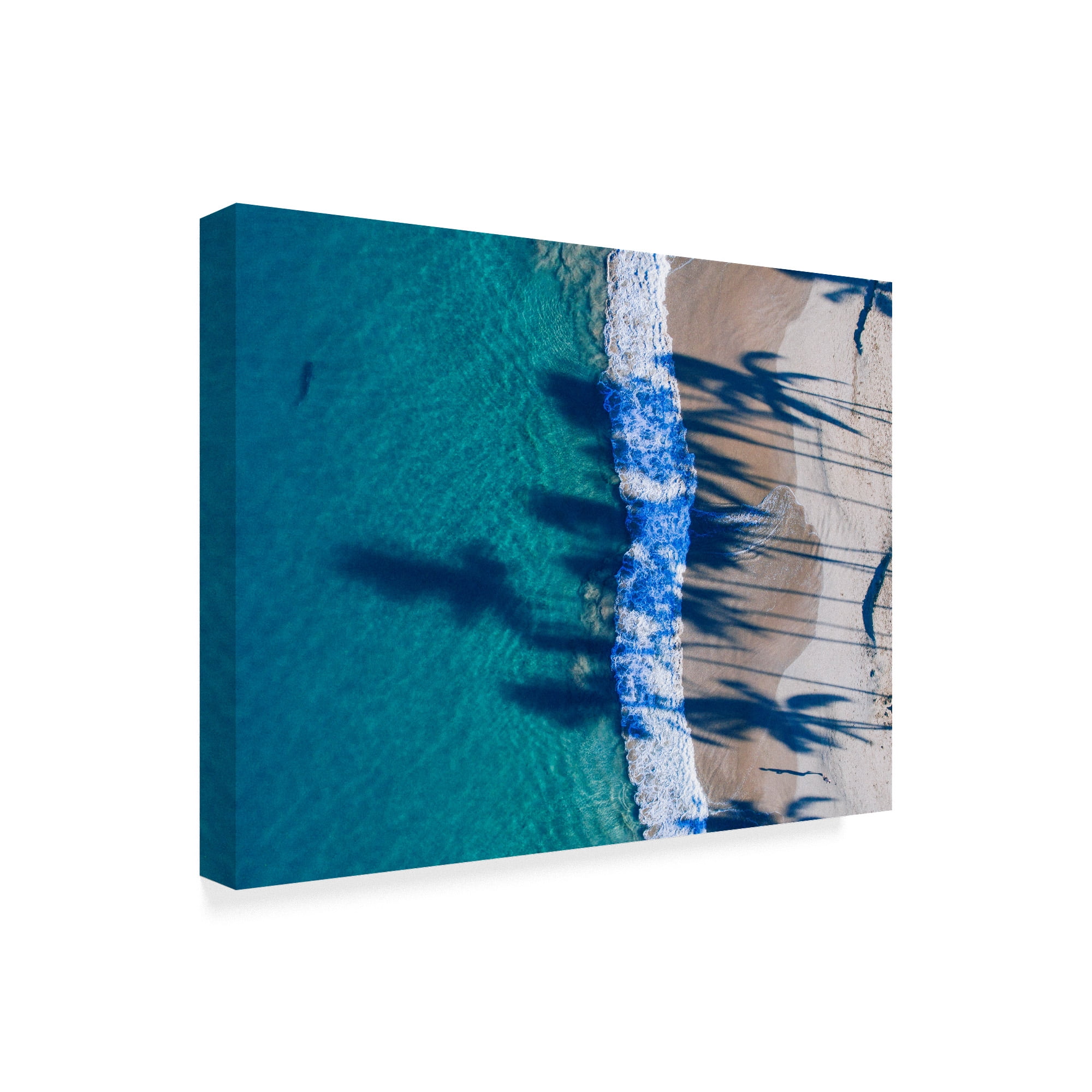 Trademark Fine Art 'Hawaii View VI' Canvas Art by Adam Mead
