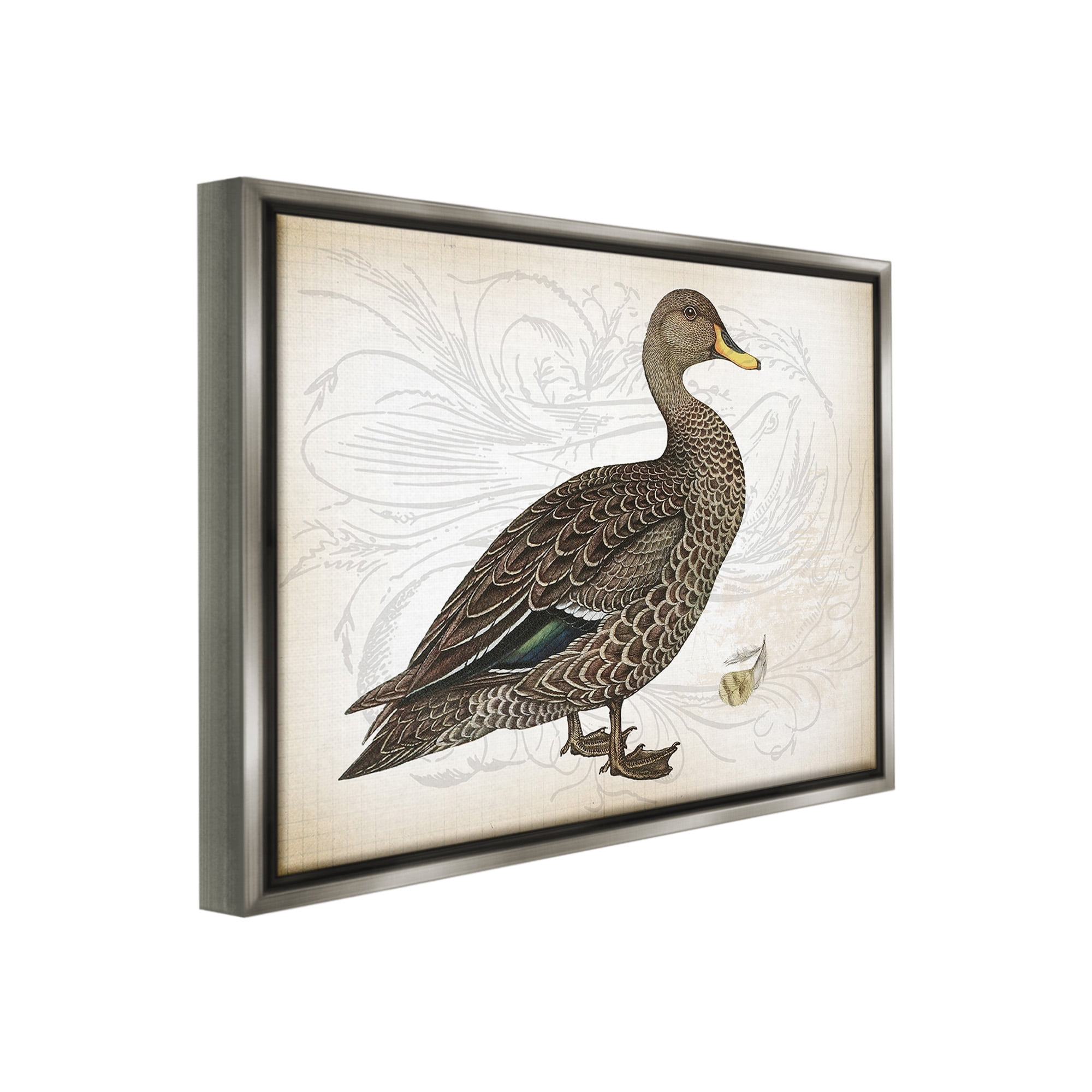 Stupell Industries Patterned Vintage Duck Animals & Insects Painting Gray Floater Framed Canvas Art Print Wall Art, 31 x 25