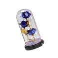 thumbnail image 1 of kurtrusly Enchanted Rose Flower In Glass Dome LED Light Valentine's Day Decor blue, 1 of 8