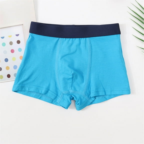 ATOGUTA Little Boy Underwear Size 6-13 Little Kids Underwear Children Cute Panties Boys Short, Blue