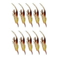 thumbnail image 1 of Wweixi 10Pcs Lures Bait Fishing Soft Shrimp Artificial FakePrawn Bionic Lifelike, 1 of 6