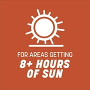 Pennington Bermudagrass Grass Seed, for Full Sun, 15 lb.
