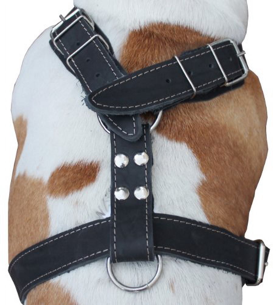 Black Genuine Leather Dog Harness, 35"-40" Chest, 1.5" Wide Straps Mastiff Great Dane