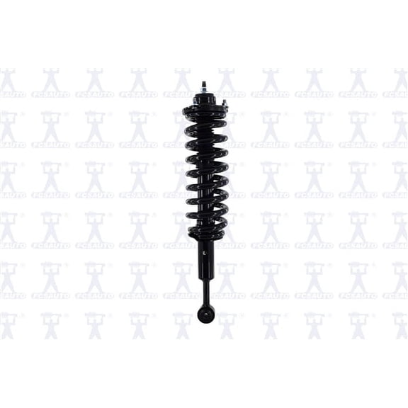 Suspension Strut and Coil Spring Assembly