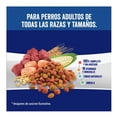 thumbnail image 2 of Alimento para Perro PAL Perro Source Adultos Todas las Razas 20 kg, 2 of 4