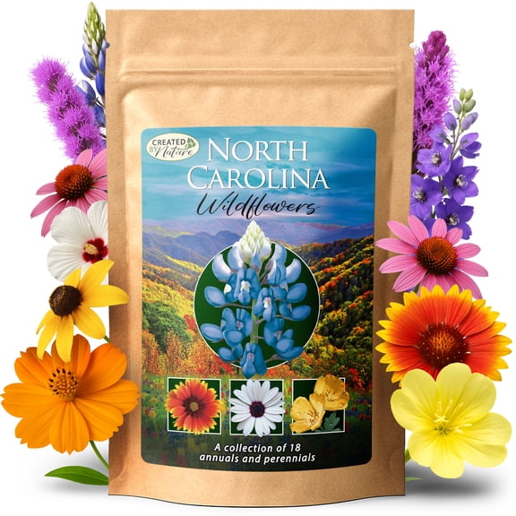 Created By Nature North Carolina Wildflower Seed Mix, 18 Flower Varieties, 35,000 Seeds