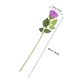thumbnail image 5 of YSNOOWE 10Ud Ramo Decorativo De Rosas Falsas Moradas Para Eventos Y Del Hogar, 5 of 6